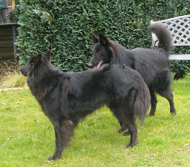 Bandido und Angelina